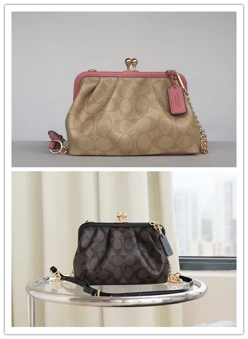 All Categories Coach Women's Bags (COACH) Coach C2876