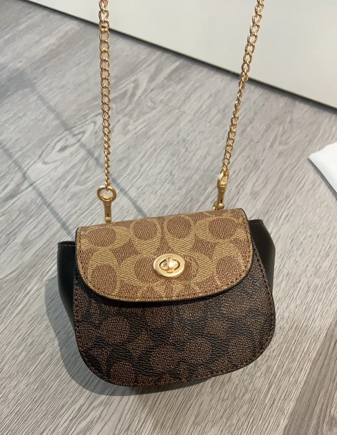 All Categories Coach Women's Bags (COACH) Coach CZ018