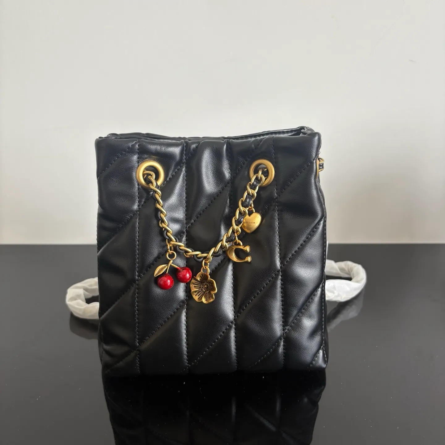 All Categories Coach Women's Bags (COACH) Coach 1491