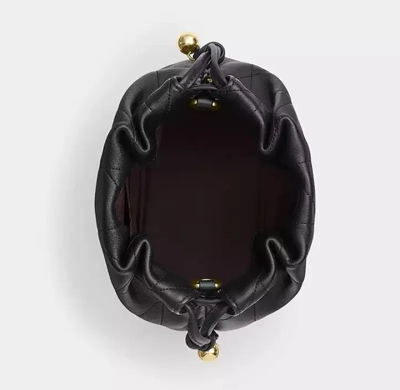 All Categories Coach Women's Bags (COACH) Coach CDC42