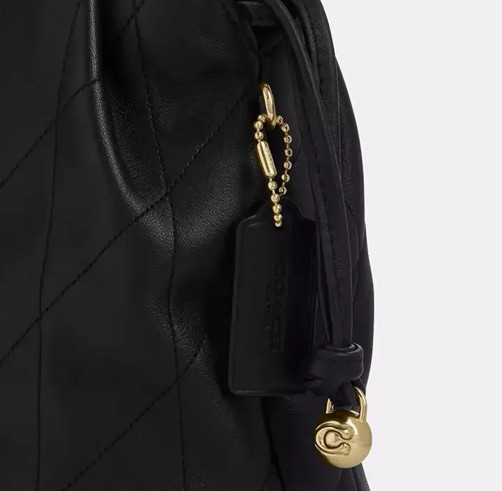 All Categories Coach Women's Bags (COACH) Coach CDC42