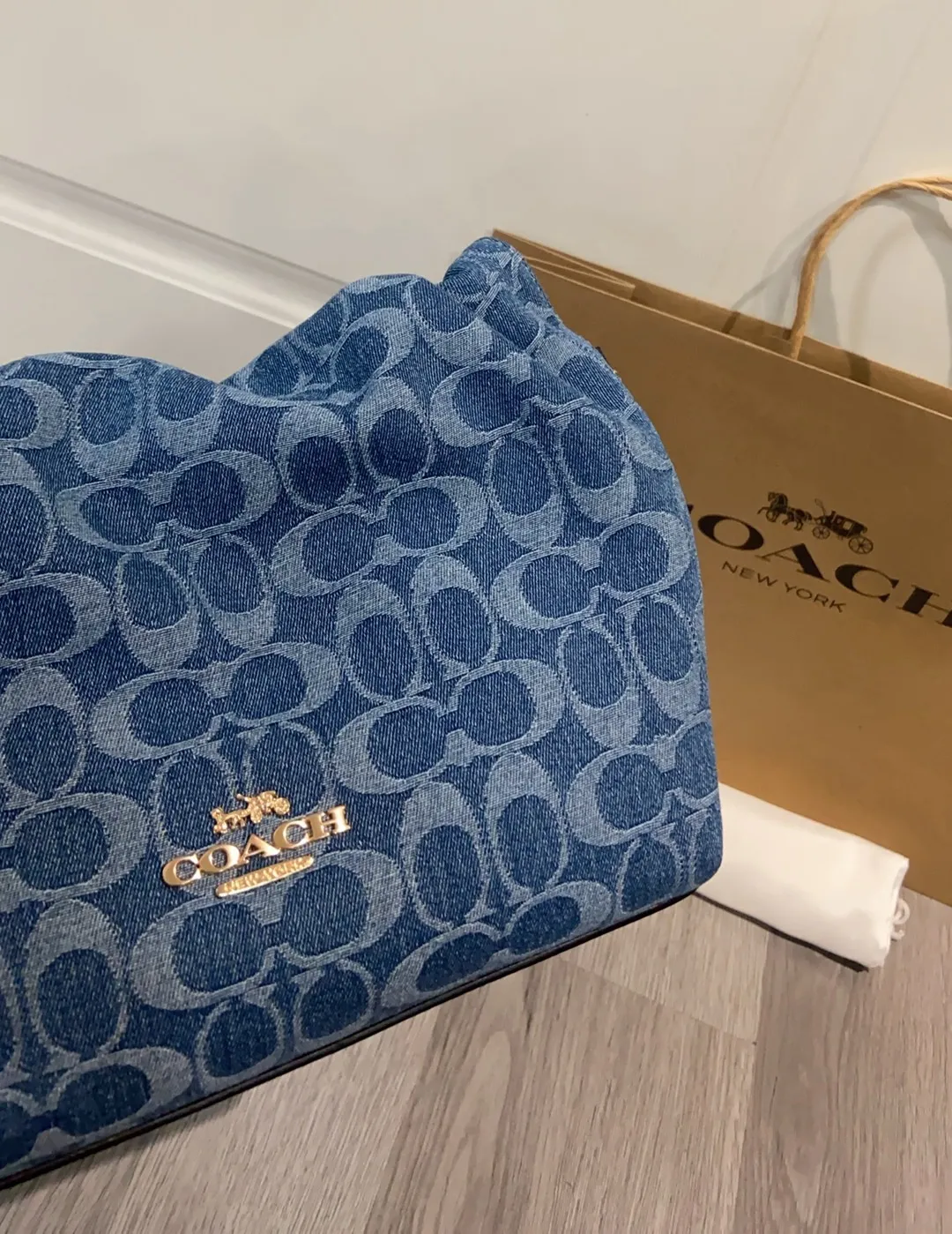 All Categories COACH Women's Bags COACH CDB94