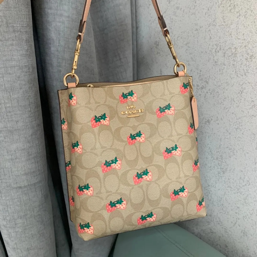 All Categories COACH Women's Bags COACH CB602