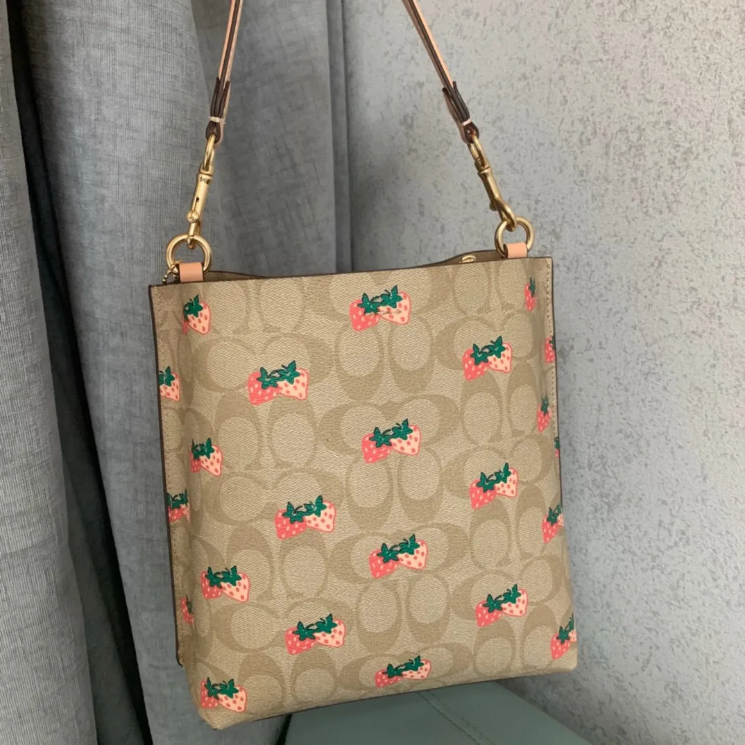 All Categories COACH Women's Bags COACH CB602