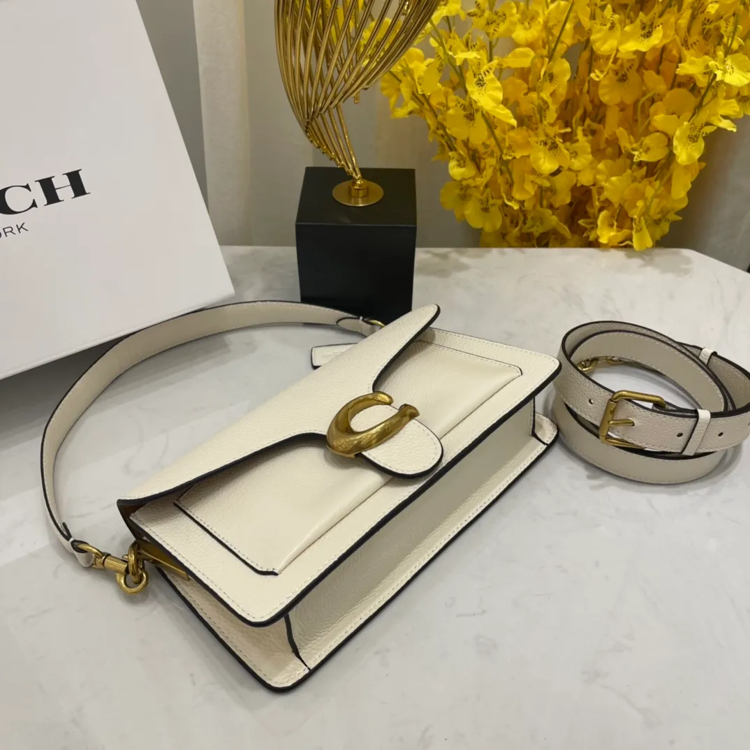 Top original order 520💰Original order coach/Coach💃Model 73995. First-layer cowhide new Dionysus bag Tabby series, envelope bag handbag, size: 26*15*7.5cm., 🌸