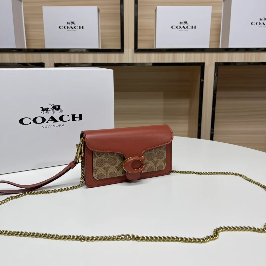 Top original order batch 460💰Coach new minitabby new Dionysus chain crossbody hand envelope bag model CK025 Size: 18.5X11X3