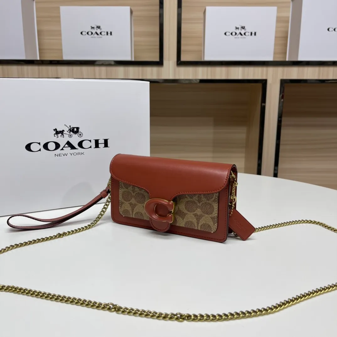 Top original order batch 460💰Coach new minitabby new Dionysus chain crossbody hand envelope bag model CK025 Size: 18.5X11X3