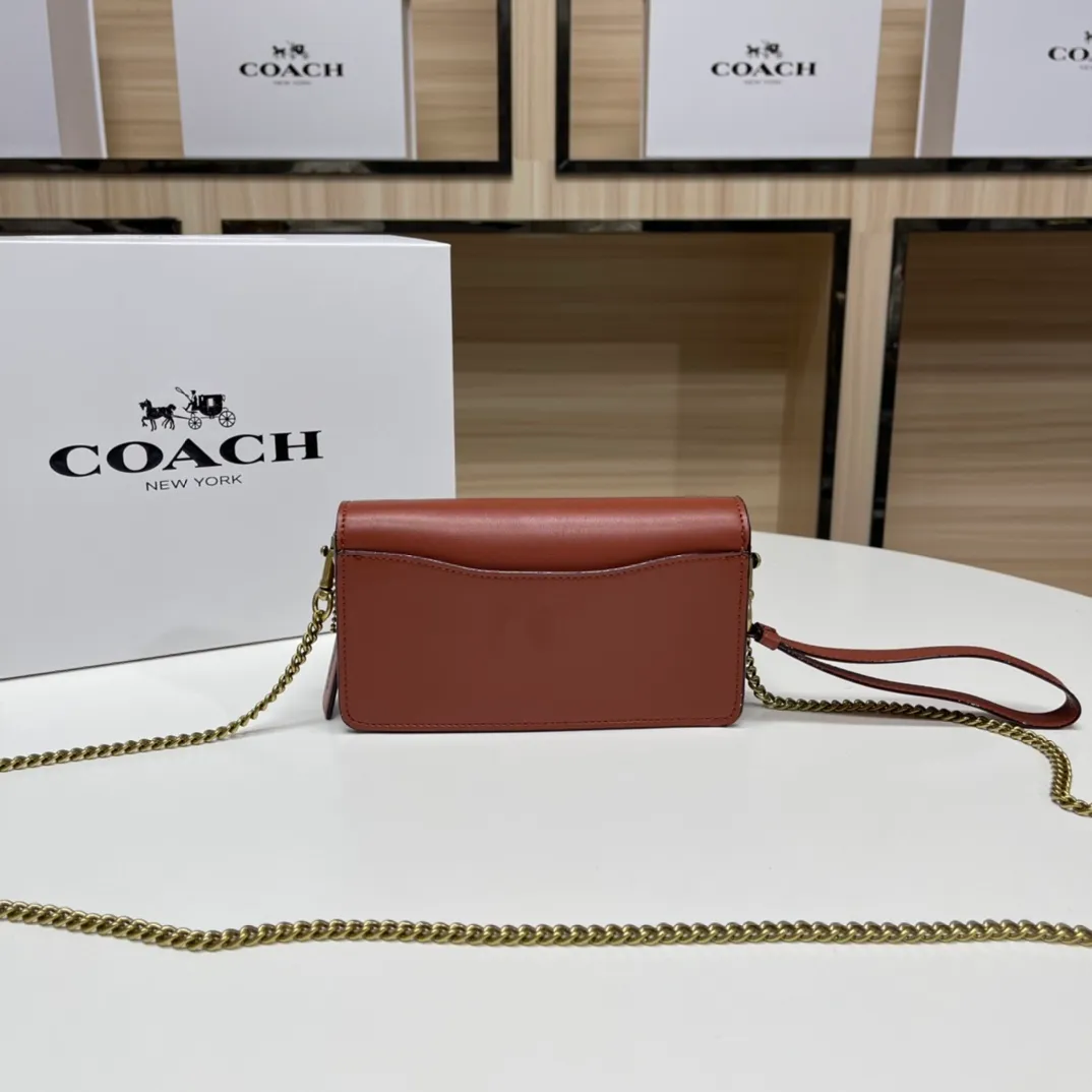Top original order batch 460💰Coach new minitabby new Dionysus chain crossbody hand envelope bag model CK025 Size: 18.5X11X3