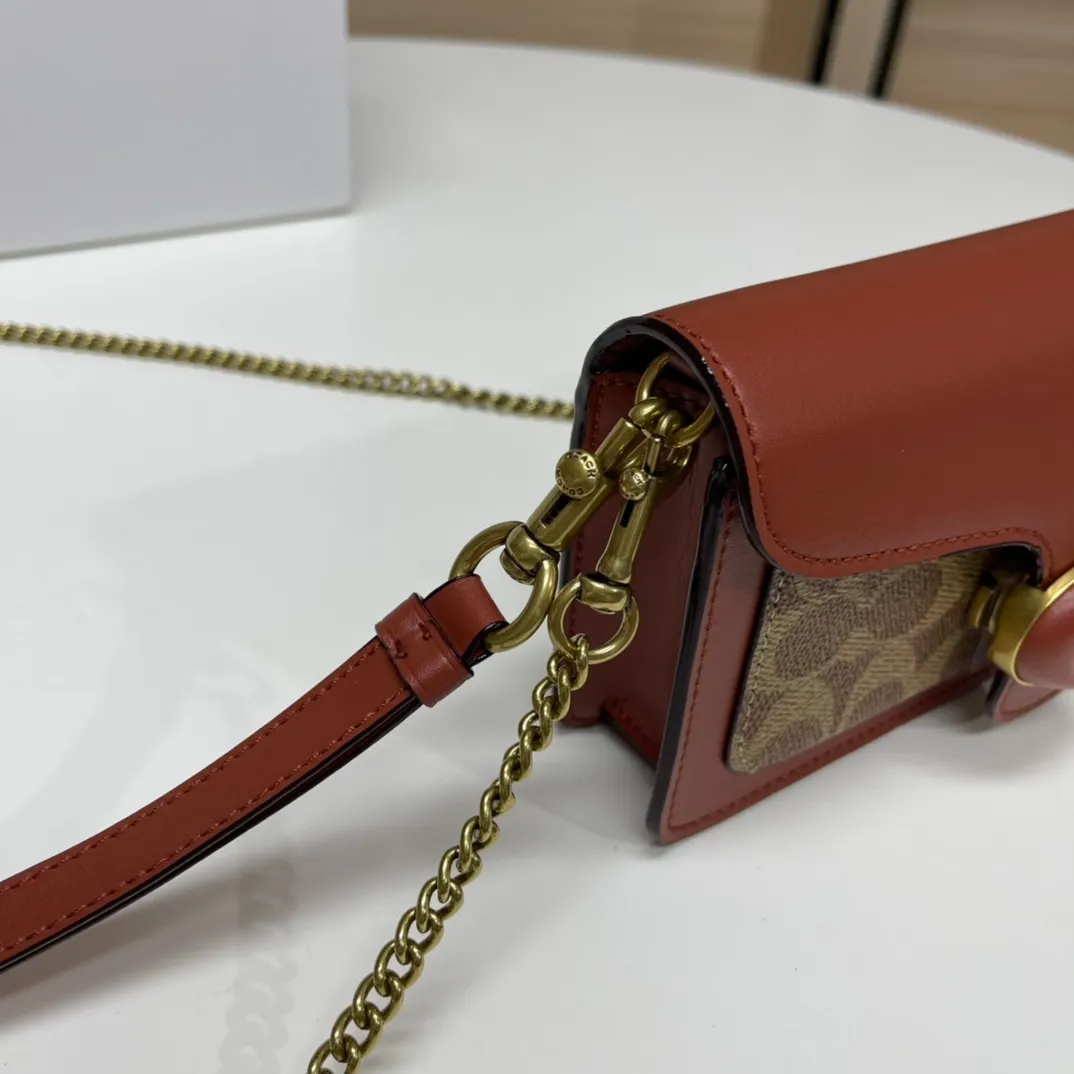 Top original order batch 460💰Coach new minitabby new Dionysus chain crossbody hand envelope bag model CK025 Size: 18.5X11X3