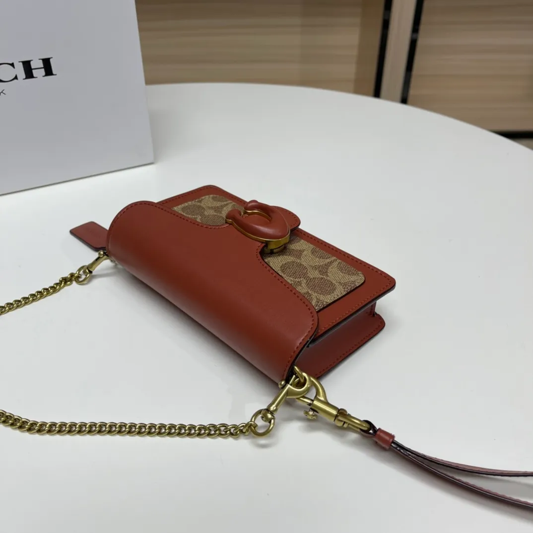 Top original order batch 460💰Coach new minitabby new Dionysus chain crossbody hand envelope bag model CK025 Size: 18.5X11X3