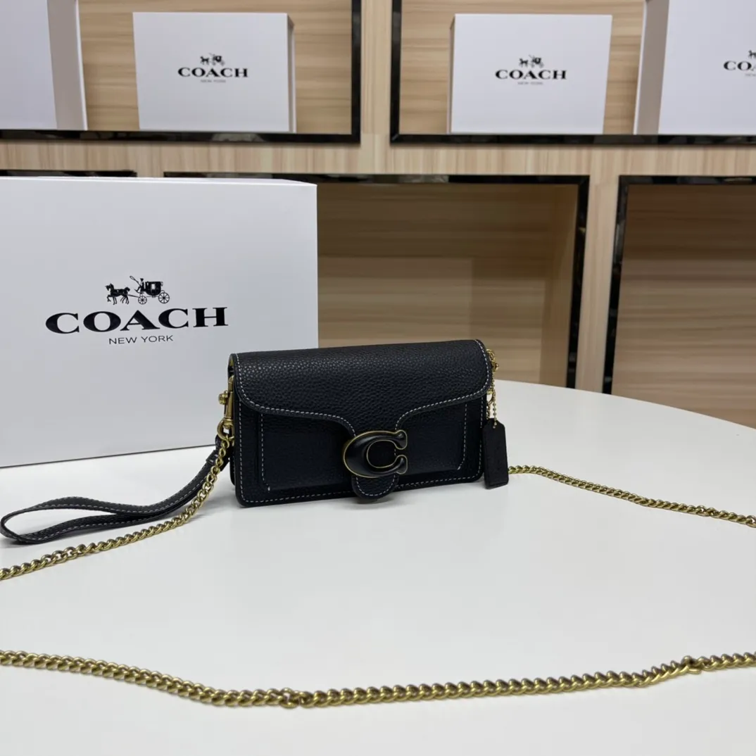 Top original order batch 460💰Coach new minitabby new Dionysus chain crossbody hand envelope bag model CJ925 Size: 18.5X11X3