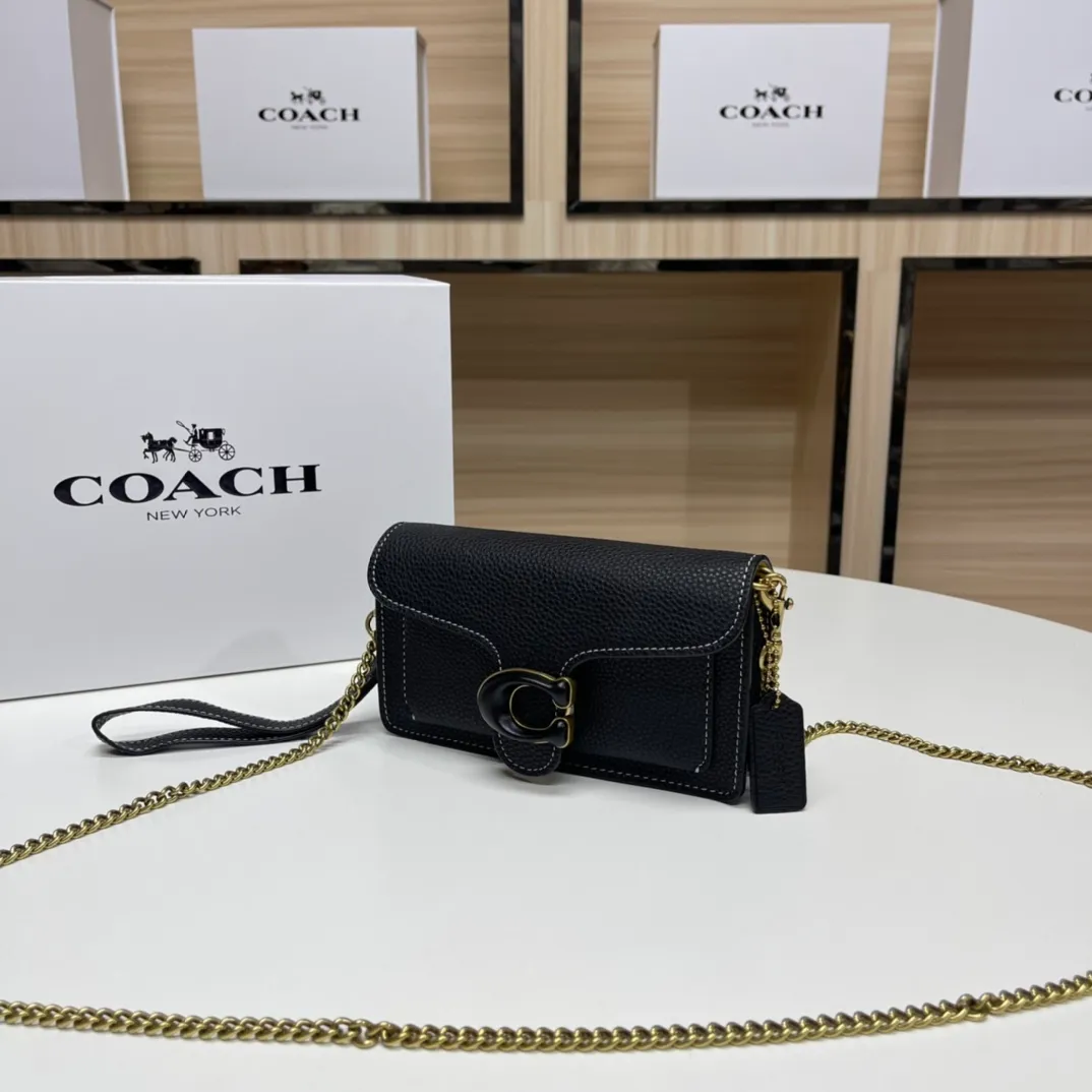 Top original order batch 460💰Coach new minitabby new Dionysus chain crossbody hand envelope bag model CJ925 Size: 18.5X11X3