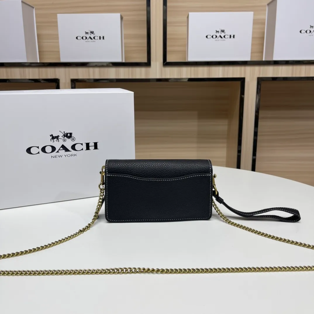 Top original order batch 460💰Coach new minitabby new Dionysus chain crossbody hand envelope bag model CJ925 Size: 18.5X11X3