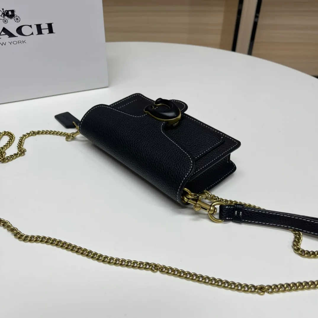 Top original order batch 460💰Coach new minitabby new Dionysus chain crossbody hand envelope bag model CJ925 Size: 18.5X11X3