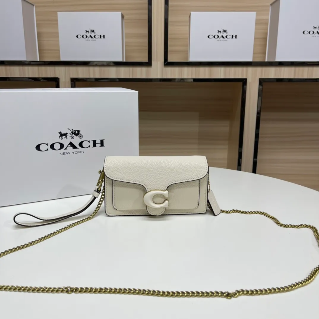 Top original order batch 460💰Coach new minitabby new Dionysus chain crossbody hand envelope bag model CJ925 Size: 18.5X11X3