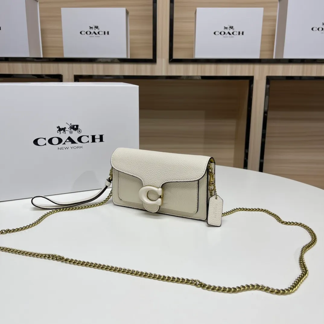 Top original order batch 460💰Coach new minitabby new Dionysus chain crossbody hand envelope bag model CJ925 Size: 18.5X11X3