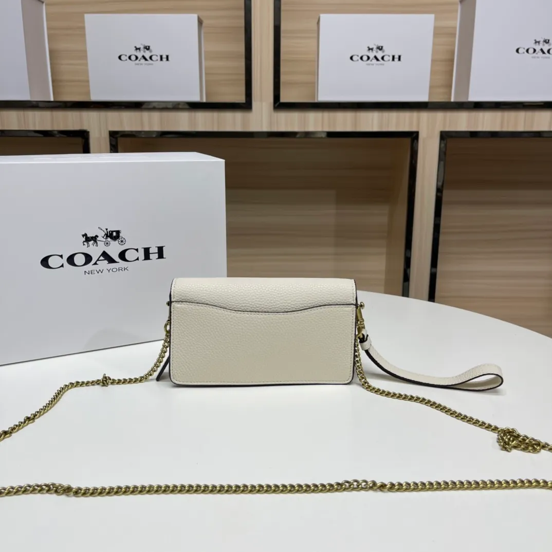 Top original order batch 460💰Coach new minitabby new Dionysus chain crossbody hand envelope bag model CJ925 Size: 18.5X11X3