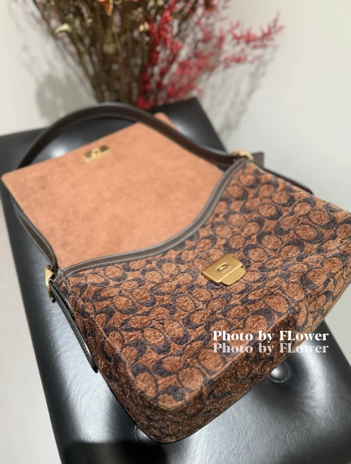 All Categories Coach Women's Bags (COACH) Coach CCV63