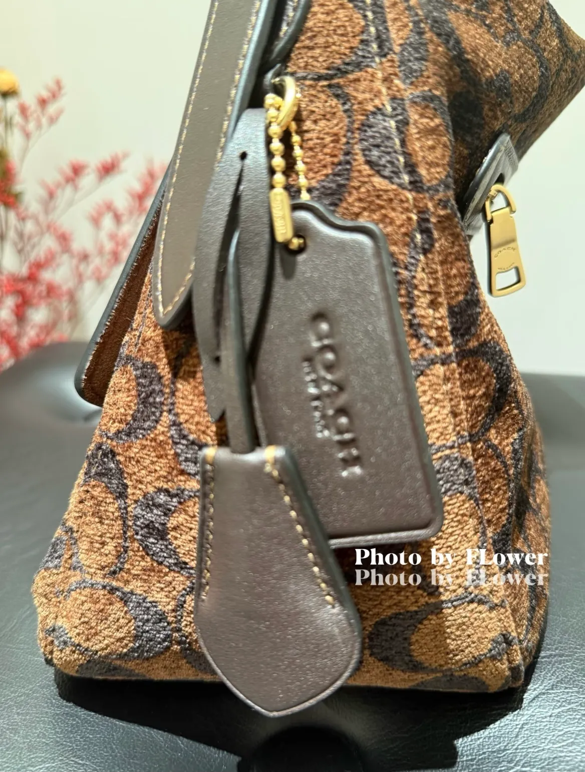 All Categories Coach Women's Bags (COACH) Coach CCV63