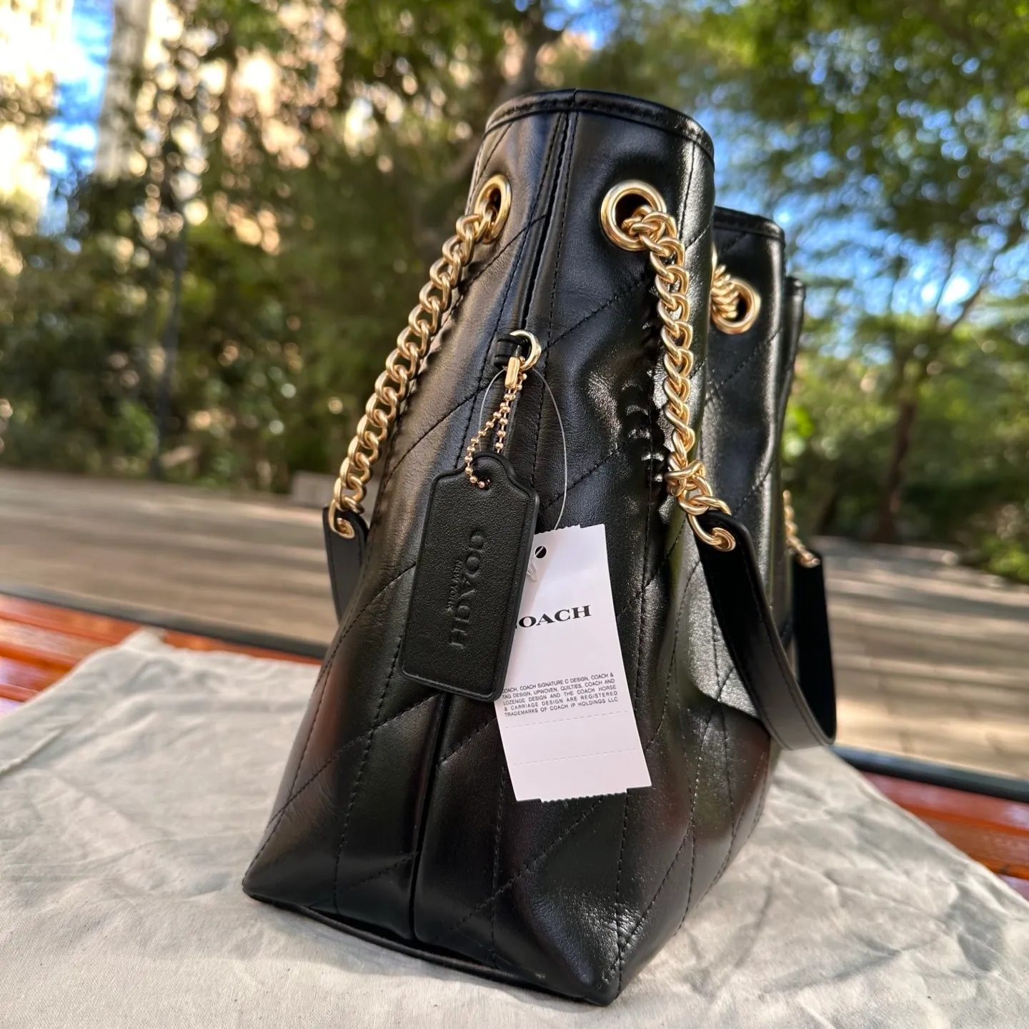 All Categories Coach Women's Bags (COACH) Coach CCZ00