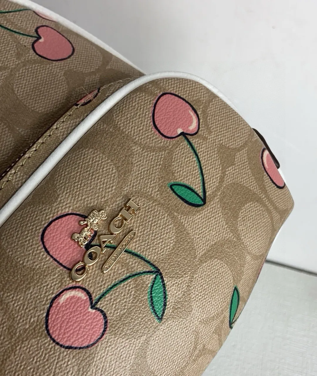 All Categories Coach Women's Bags (COACH) Coach CF424