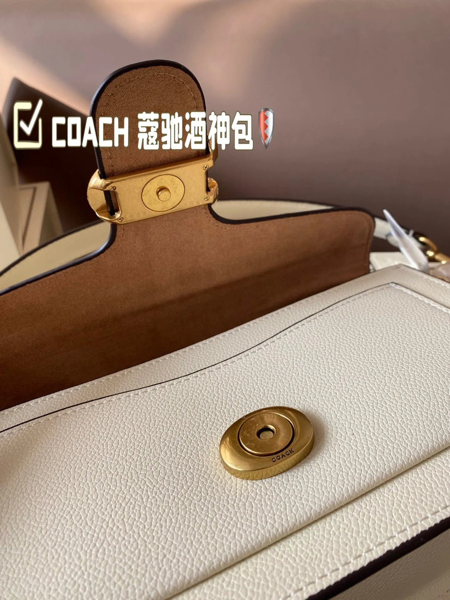 All Categories Official Website "Brand Women's Bags" Women's Bags 💙 COACH 2024 New COACH Crossbody Bag
