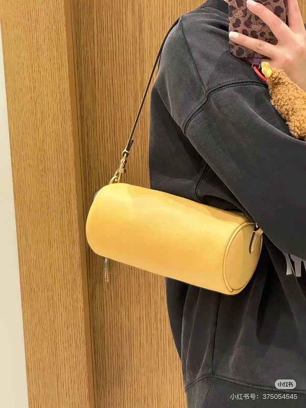 All Categories COACH Women's Bags COACH CDY79