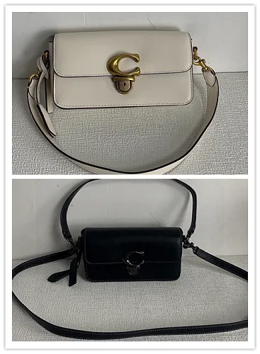 All Categories COACH Women's Bags (COACH) CE331