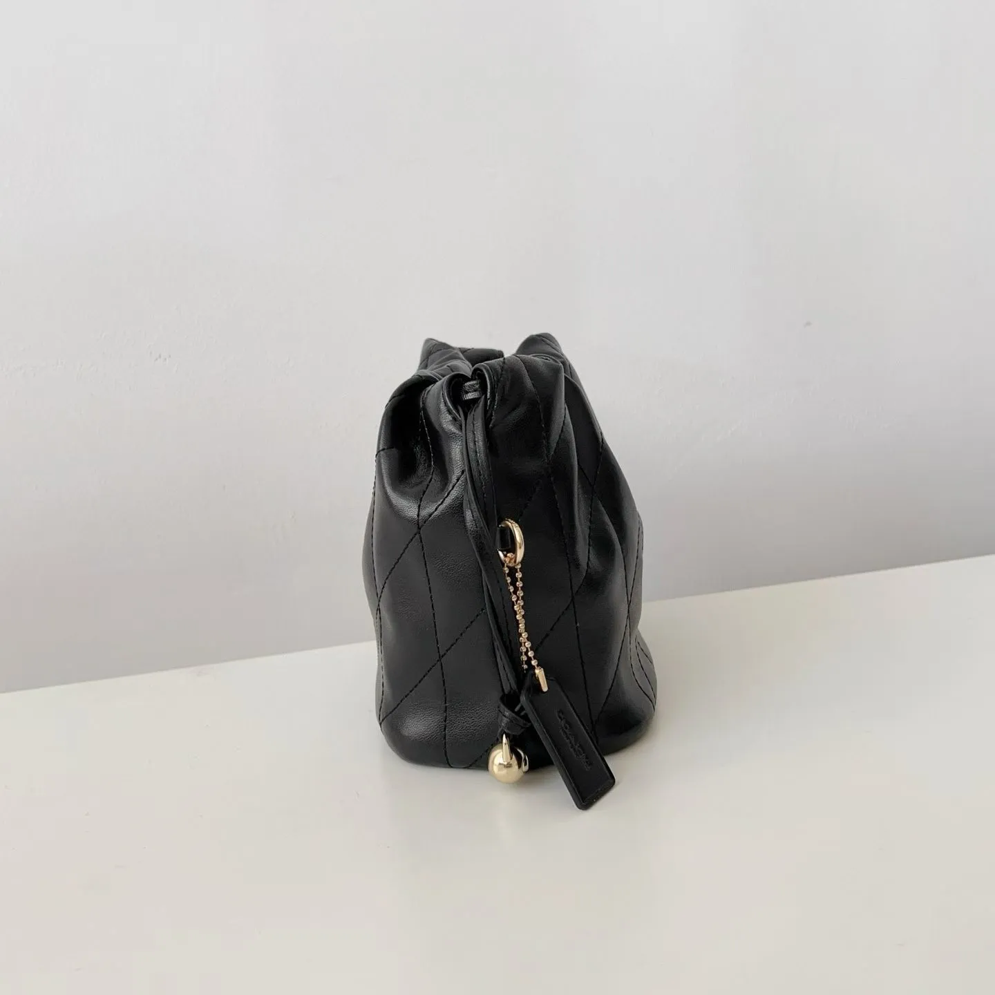 All Categories Coach Women's Bags (COACH) Coach cdc42