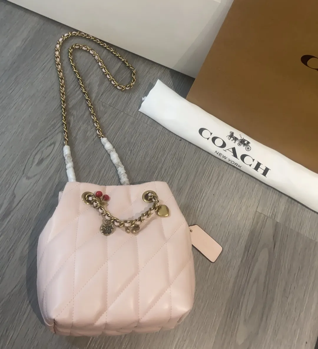All Categories Coach Women's Bags (COACH) Coach CES62