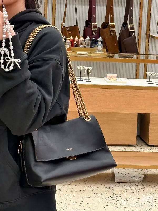 All Categories Coach Women's Bags (COACH) Coach CDS61