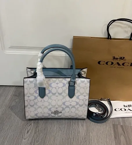 All Categories COACH Women's Bags COACH CDZ06