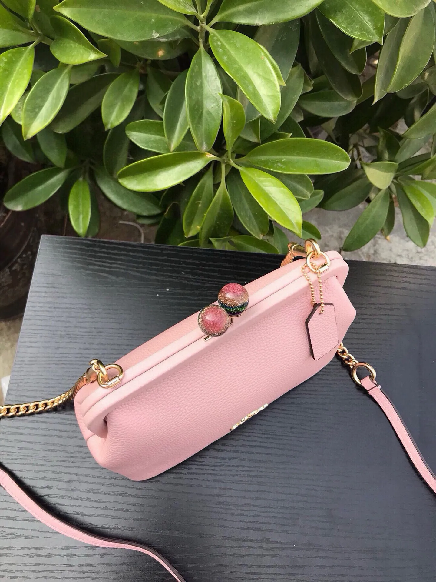 All Categories Coach Women's Bags (COACH) Coach C1451