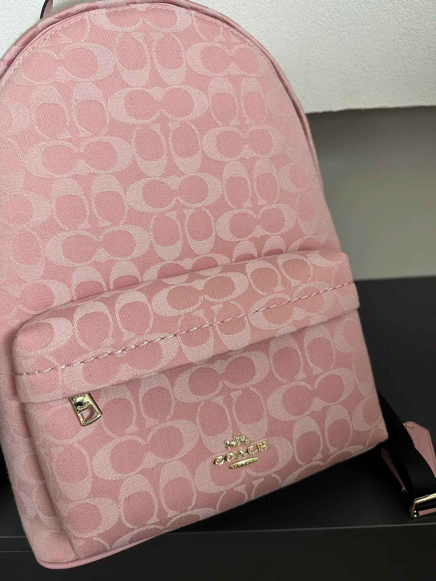 All Categories COACH Women's Bags COACH CDW76