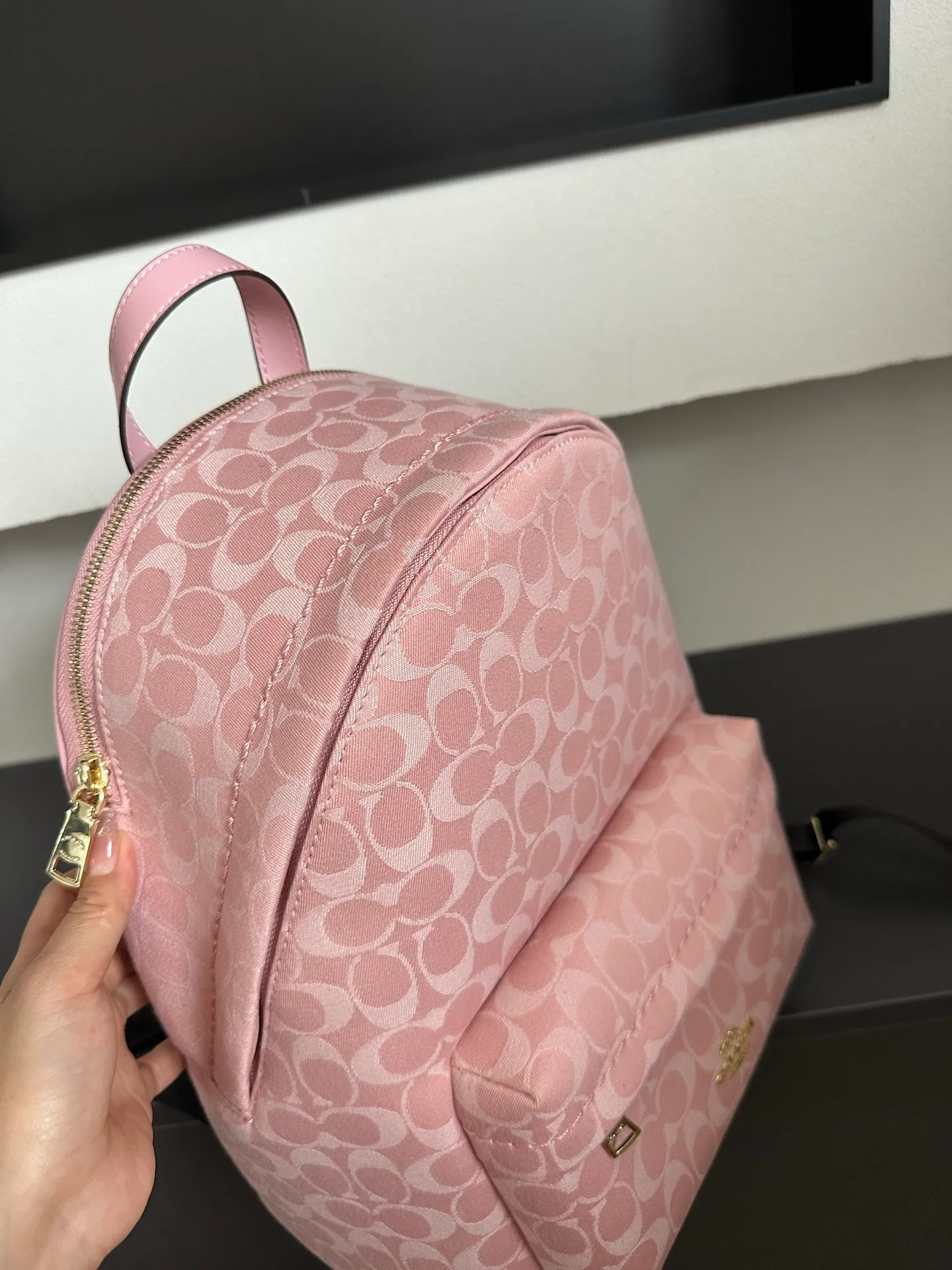All Categories COACH Women's Bags COACH CDW76