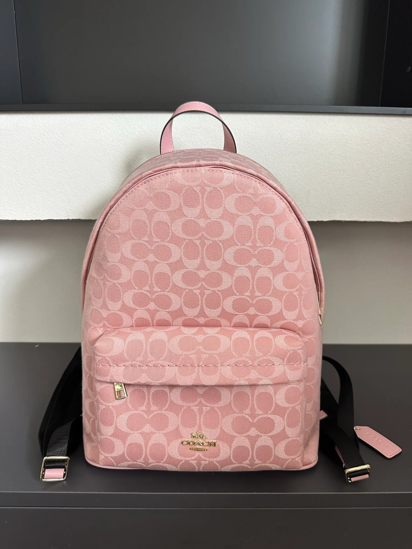 All Categories COACH Women's Bags COACH CDW76