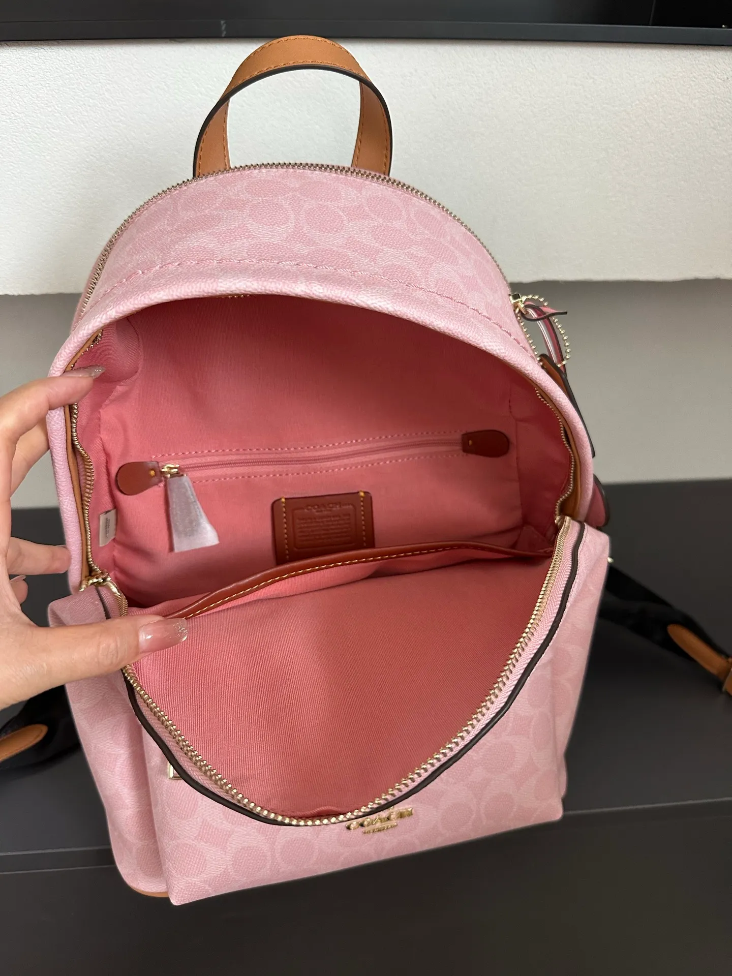 All Categories COACH Women's Bags COACH CDW76