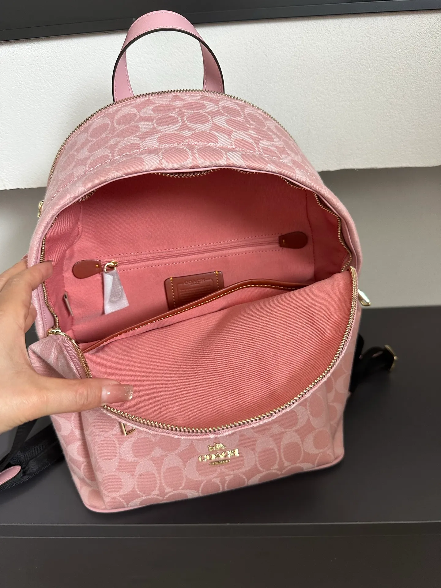 All Categories COACH Women's Bags COACH CDW76