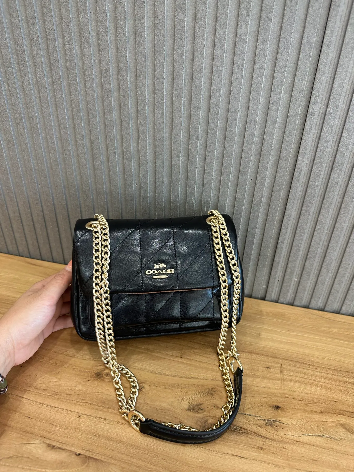 All Categories Coach Women's Bags (COACH) Coach CEU11