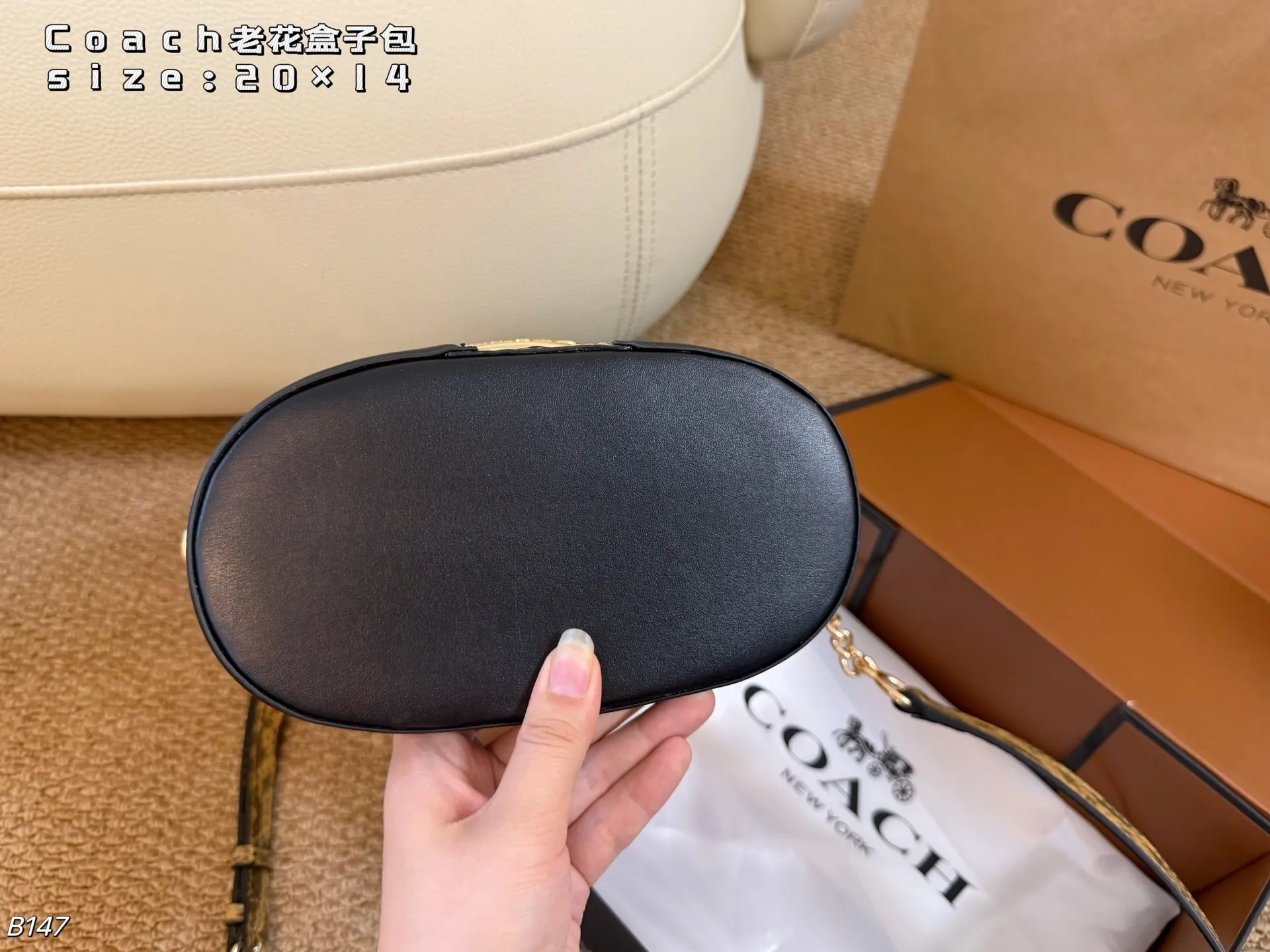 All Categories Official Website "Brand Women's Bags" Women's Bags 💙 COACH 2026 New COACH Presbyopia Box Bag