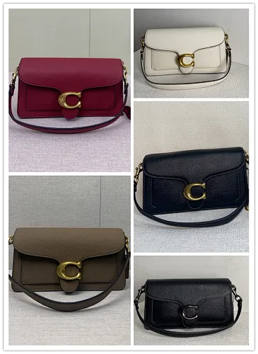 All Categories COACH Women's Bags COACH CH857