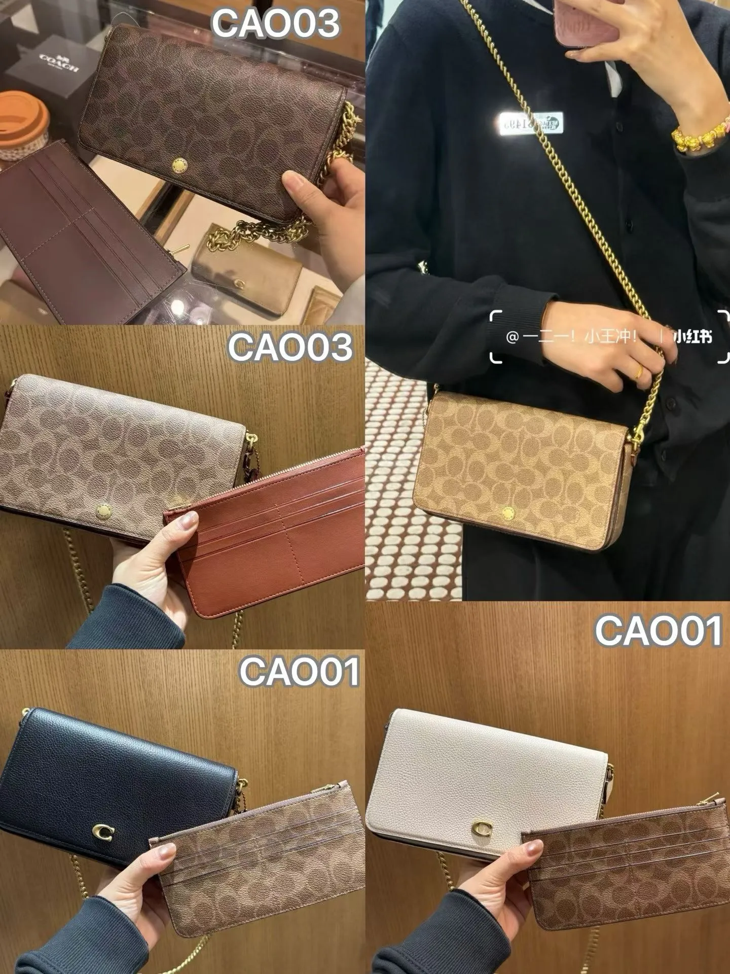 All Categories Coach Women's Bags (COACH) CAO03