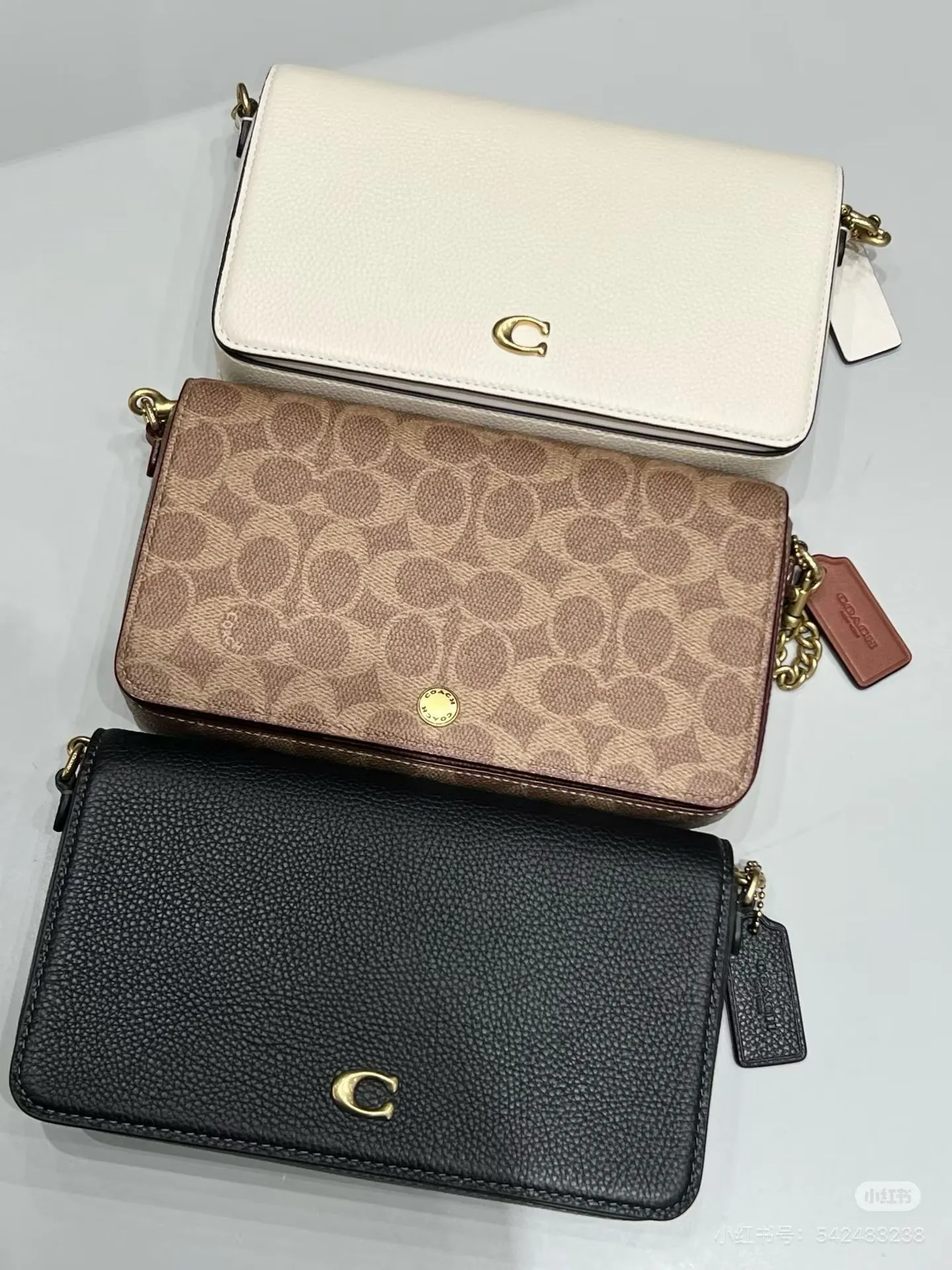 All Categories Coach Women's Bags (COACH) CAO03
