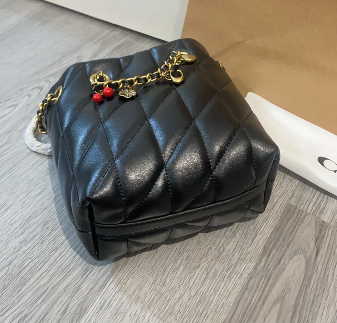 All Categories Coach Women's Bags (COACH) Coach CES62
