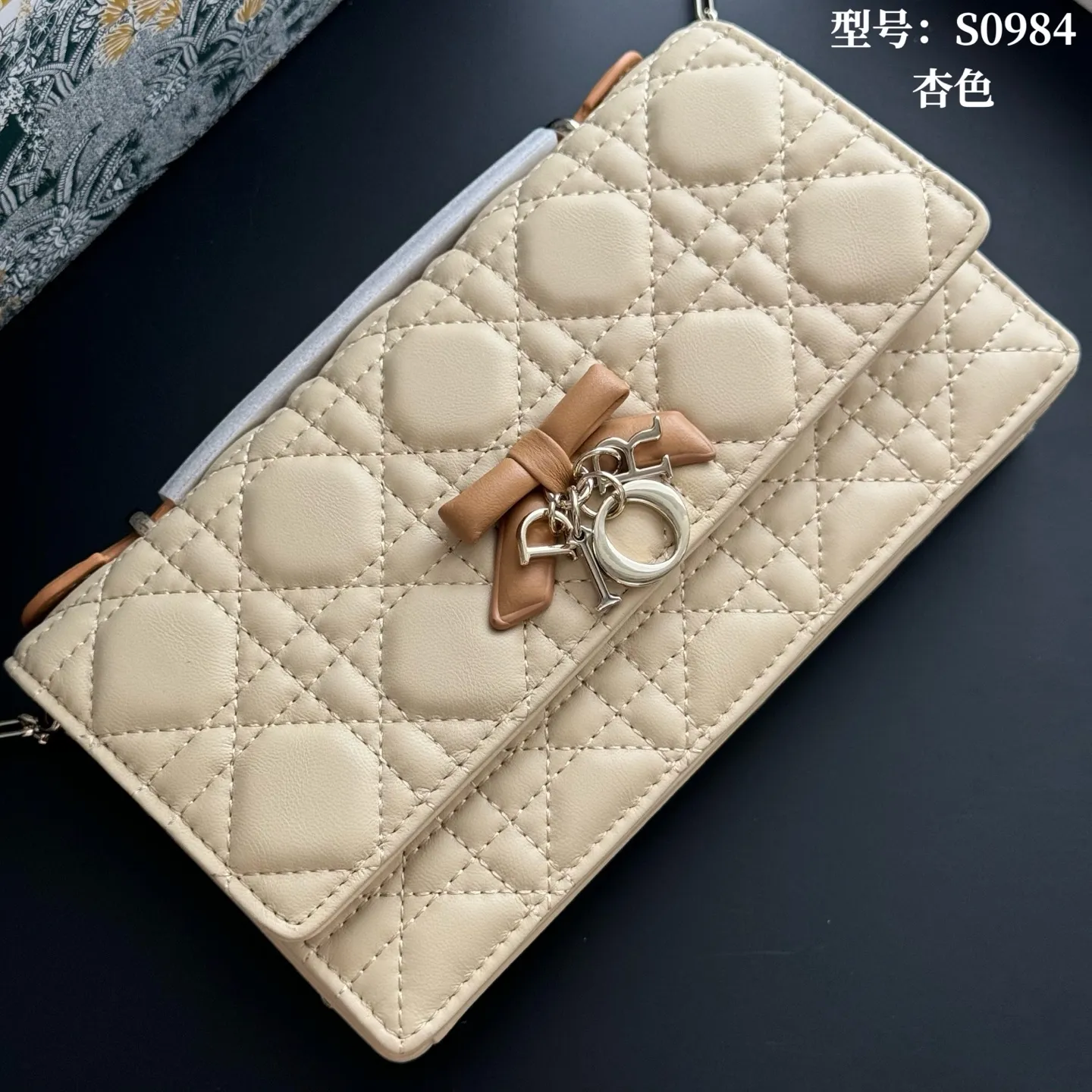 All Categories Official Website "Brand Women's Bags" Women's Bags 💙 DIOR 2026 New DIOR Crossbody Bag