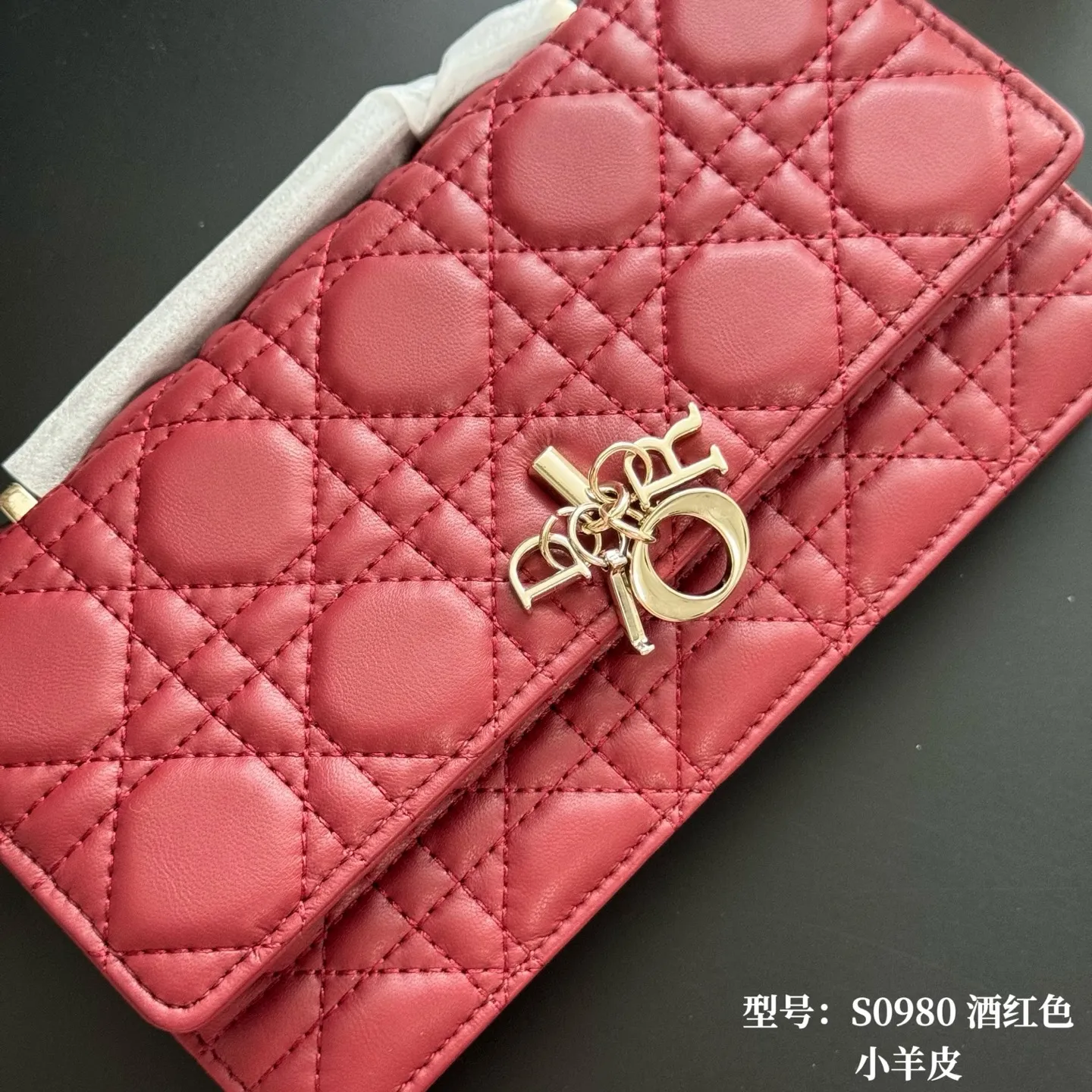 All Categories Official Website "Brand Women's Bags" Women's Bags 💙 DIOR 2026 New DIOR Crossbody Bag