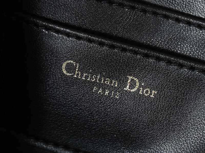 All Categories Official Website "Brand Women's Bags" Women's Bags 💙 DIOR 2026 New DIOR Crossbody Bag