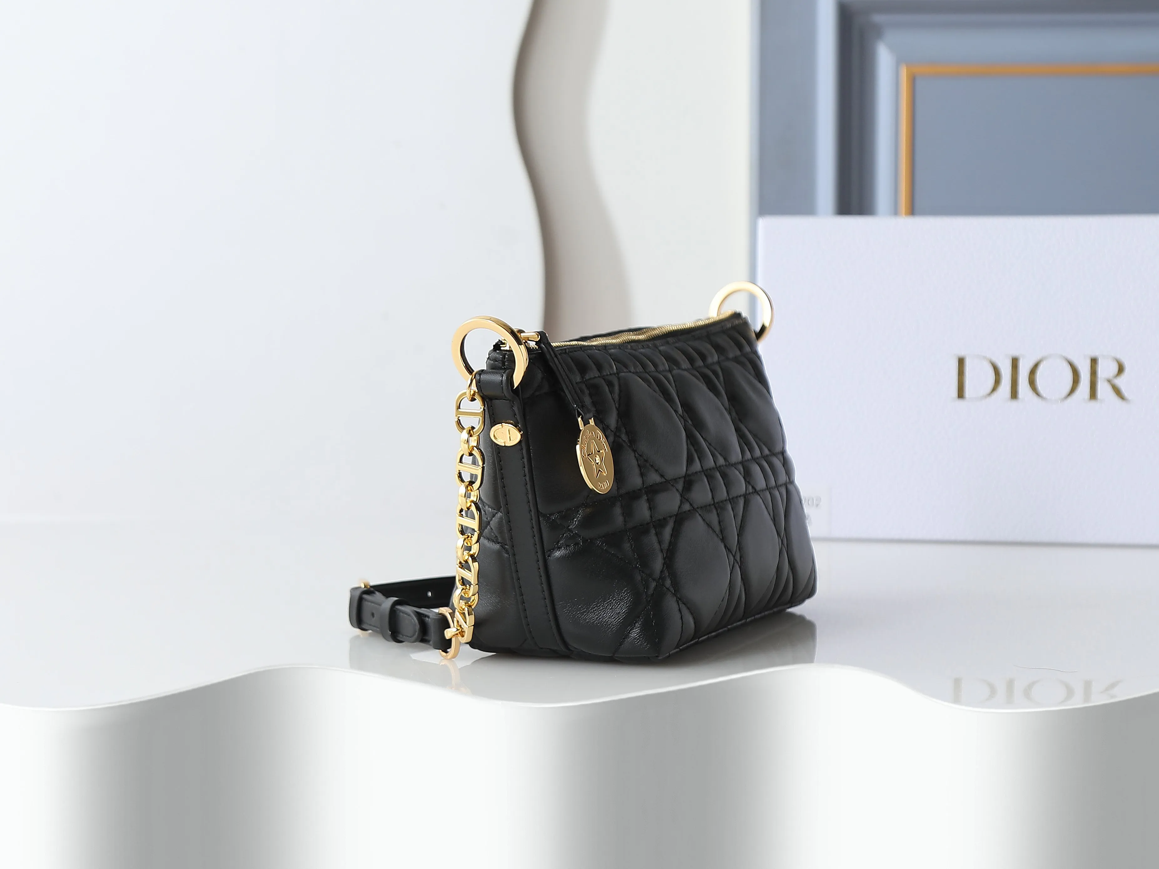 All Categories Official Website "Brand Women's Bags" Women's Bags 💙 DIOR 2026 New DIOR Crossbody Bag