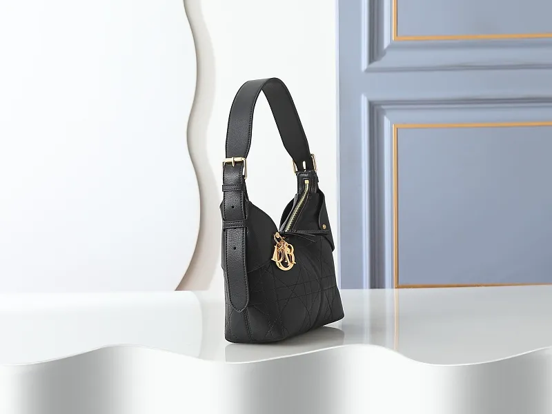 All Categories Official Website "Brand Women's Bags" Women's Bags 💙 DIOR 2026 New DIOR Armpit Crossbody Bag