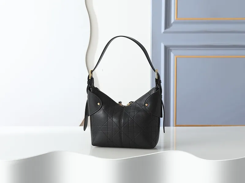 All Categories Official Website "Brand Women's Bags" Women's Bags 💙 DIOR 2026 New DIOR Armpit Crossbody Bag
